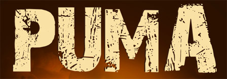 Puma The Play Poster